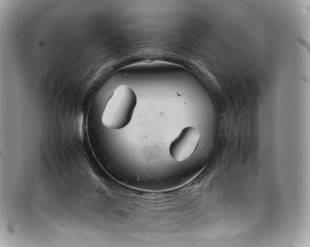 X0000098020024200803281344