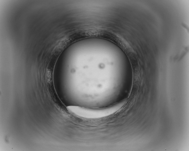 X0000098020025200803281344