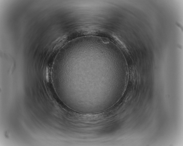 X0000098020026200803281344