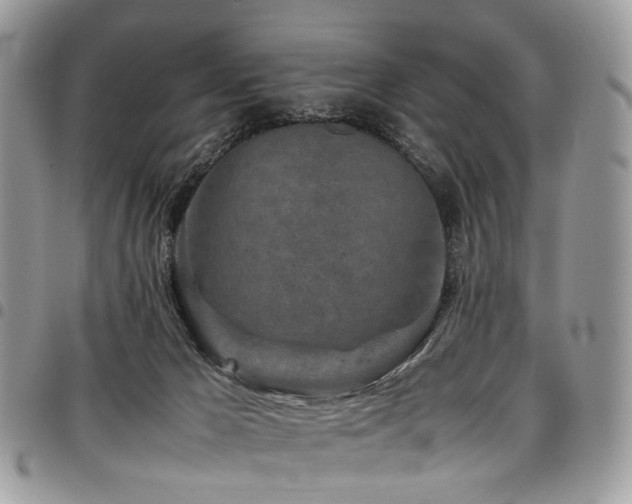 X0000098020029200803281344