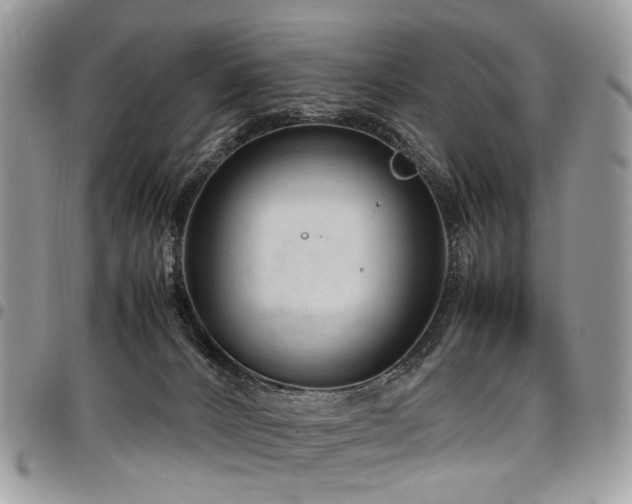 X0000098020032200803281344