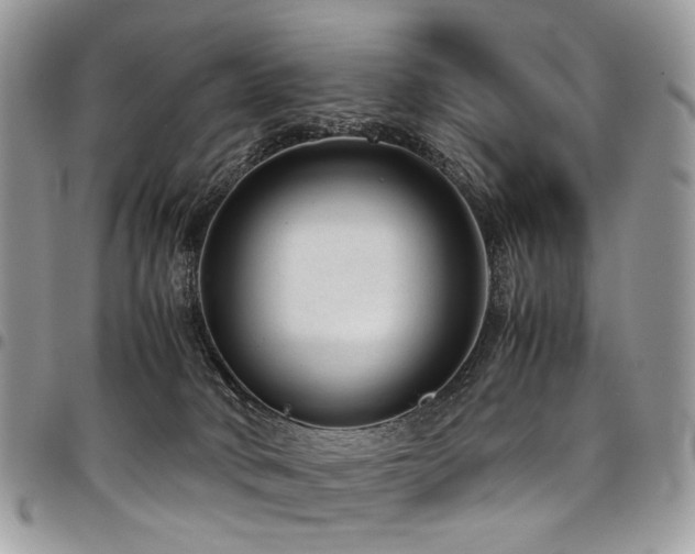 X0000098020034200803281344