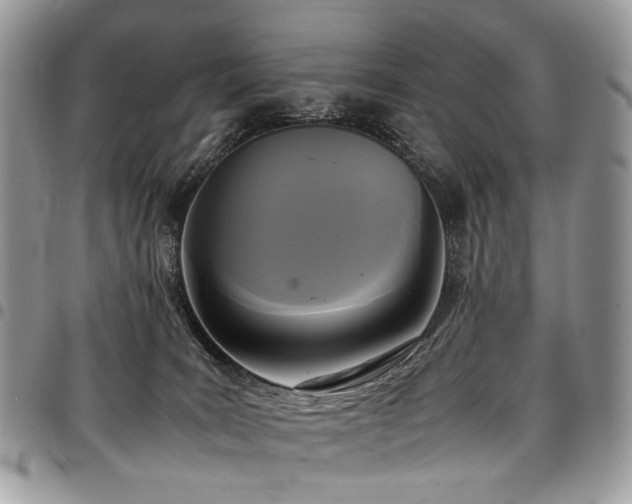 X0000098020035200803281344