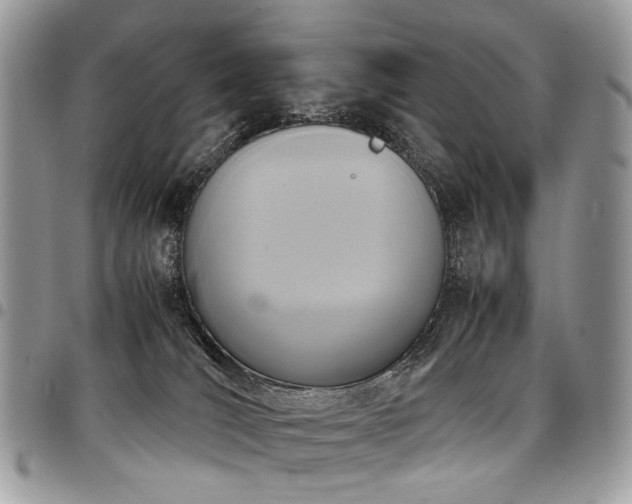 X0000098020036200803281344