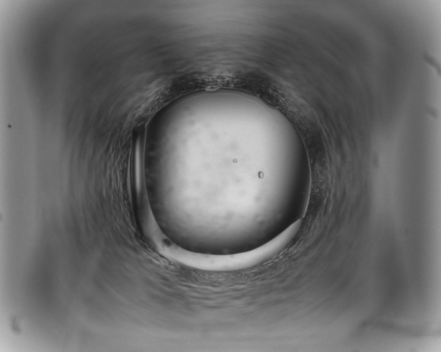 X0000098020037200803281344