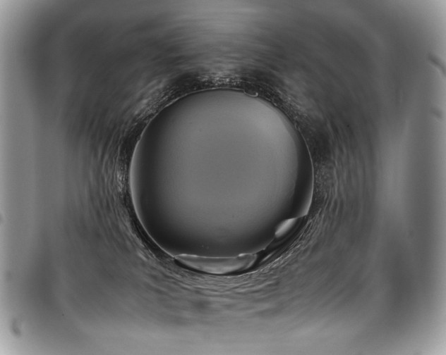 X0000098020039200803281344