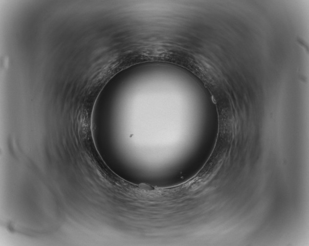 X0000098020040200803281344