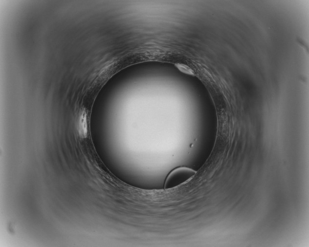 X0000098020042200803281344