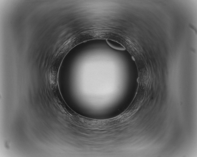 X0000098020044200803281344