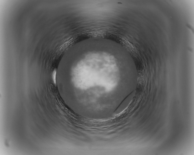 X0000098020047200803281344