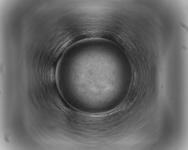 X0000098020048200803281344