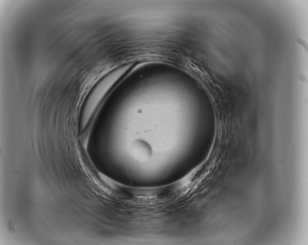 X0000098020049200803281343