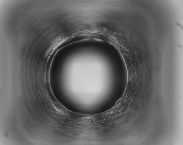 X0000098020050200803281343