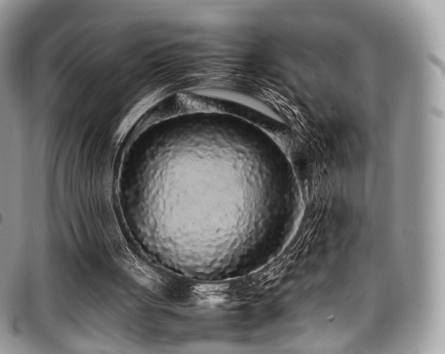 X0000098020051200803281343