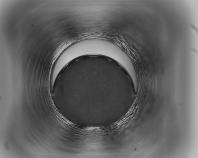 X0000098020052200803281343