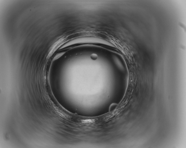 X0000098020053200803281343