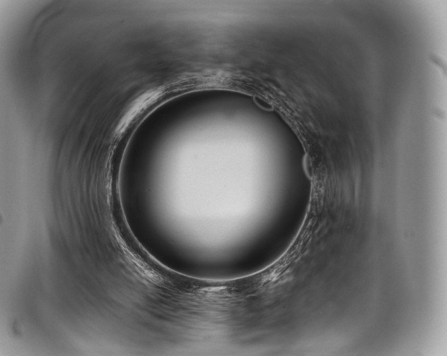 X0000098020054200803281343