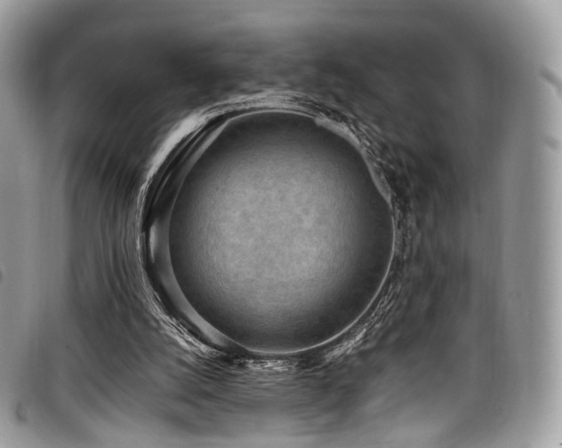 X0000098020056200803281343