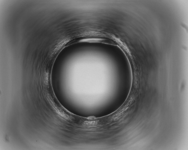 X0000098020057200803281343