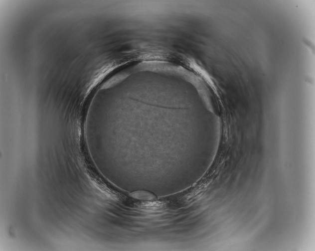 X0000098020059200803281343