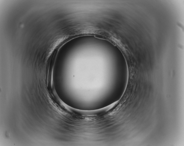 X0000098020060200803281343