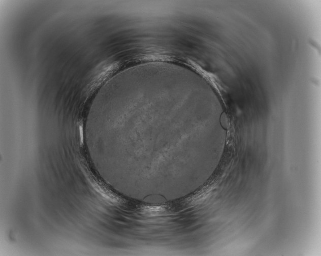 X0000098020061200803281343