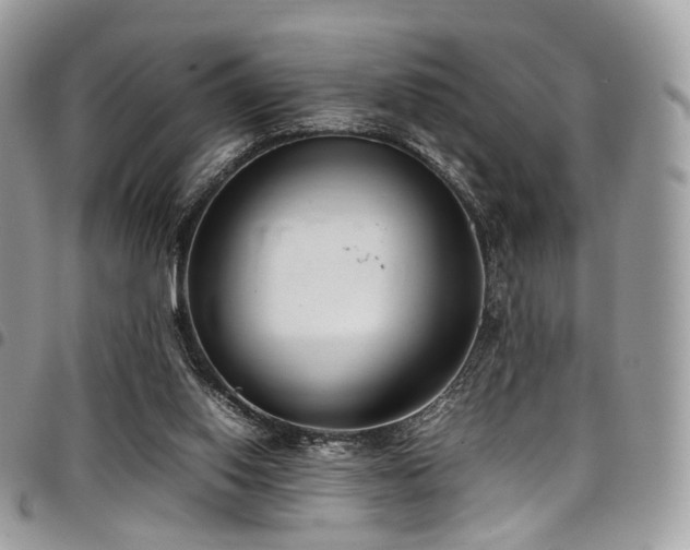 X0000098020062200803281343