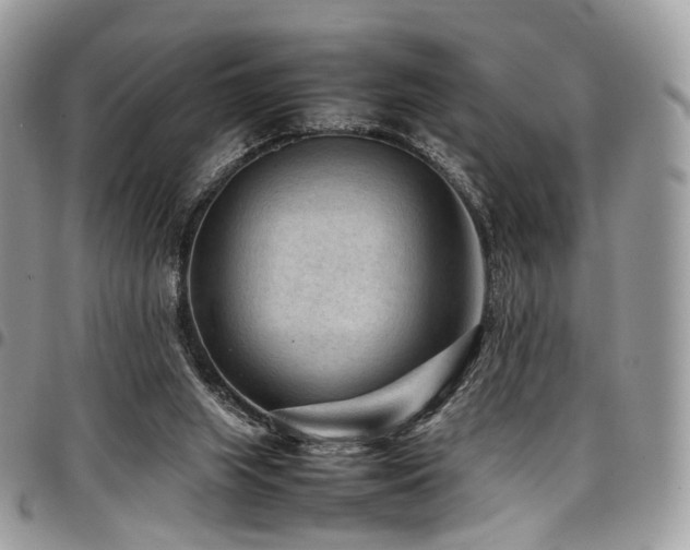 X0000098020063200803281343