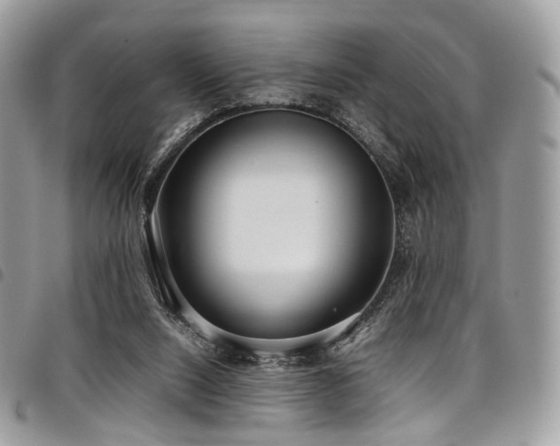 X0000098020064200803281343