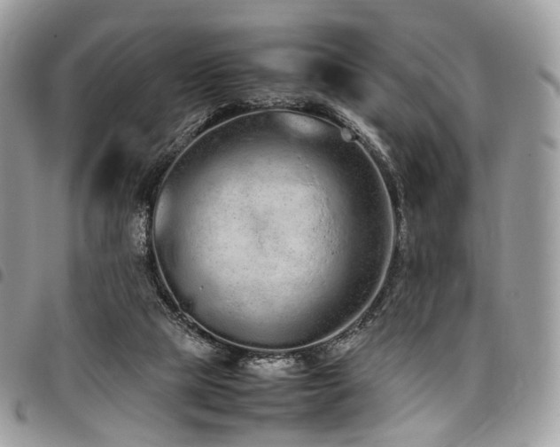 X0000098020065200803281343