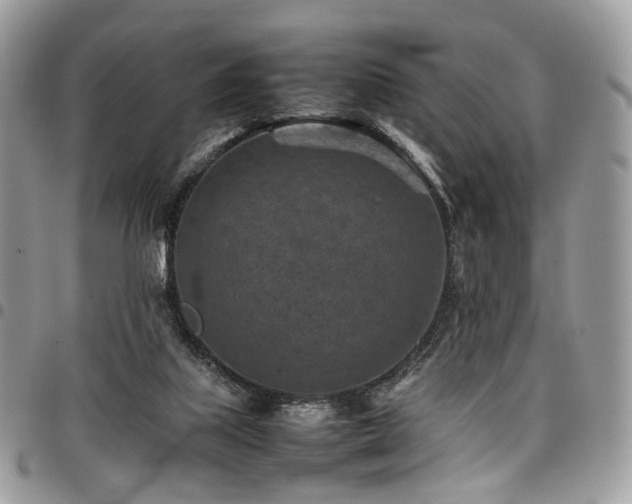 X0000098020067200803281343