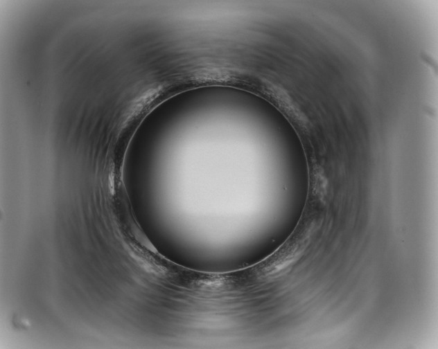 X0000098020068200803281343