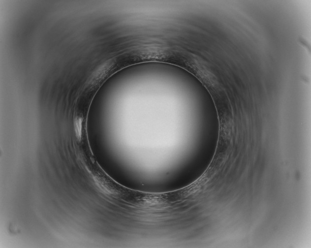 X0000098020070200803281343