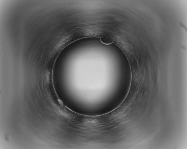 X0000098020071200803281343