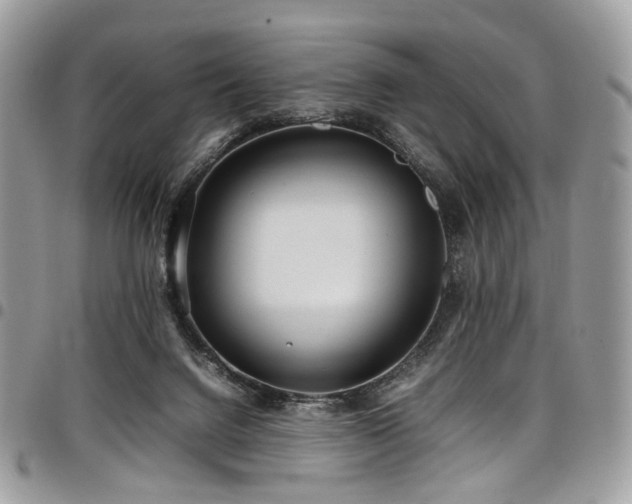 X0000098020072200803281343