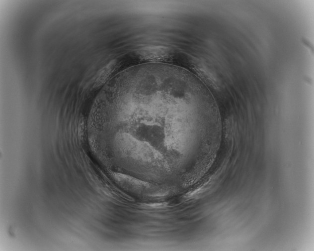 X0000098020073200803281343