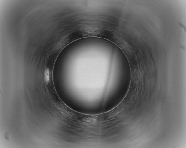 X0000098020075200803281343