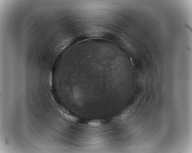 X0000098020076200803281343