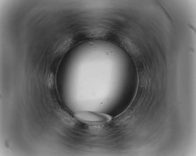 X0000098020077200803281343