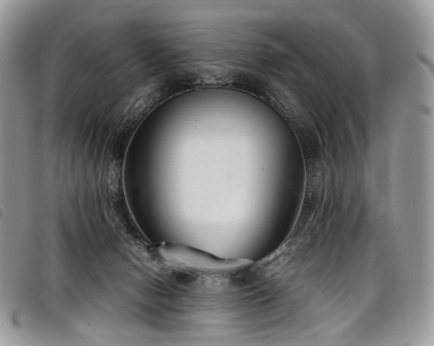 X0000098020078200803281343