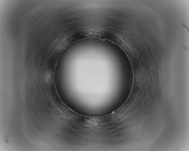 X0000098020079200803281343