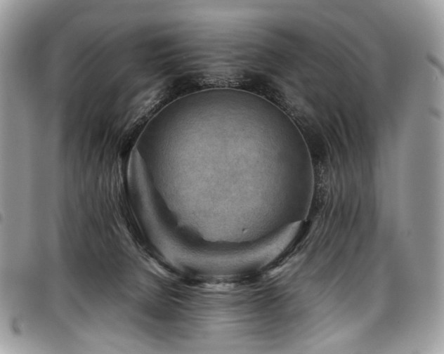 X0000098020080200803281343