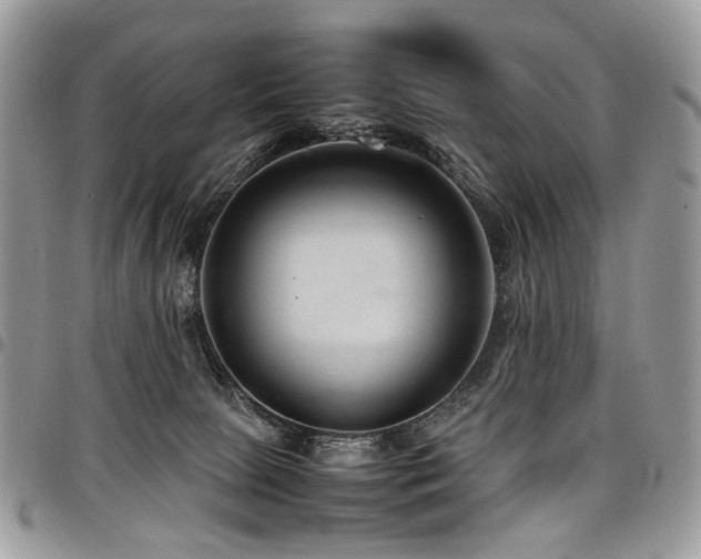 X0000098020081200803281343