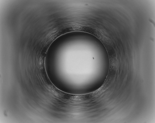 X0000098020082200803281343