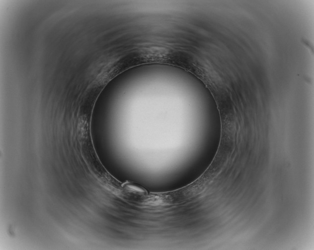 X0000098020083200803281343