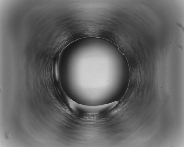 X0000098020084200803281343