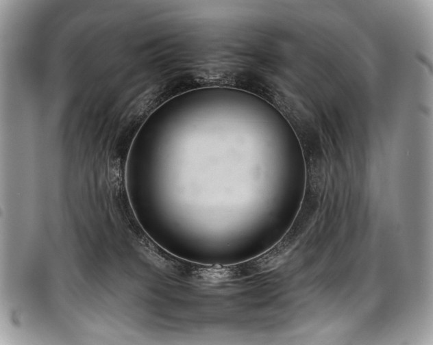 X0000098020085200803281343