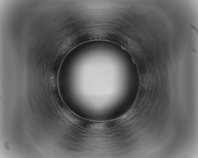 X0000098020086200803281343