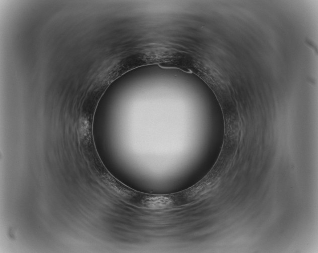 X0000098020087200803281343