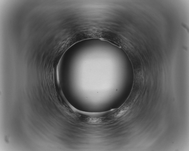 X0000098020088200803281343